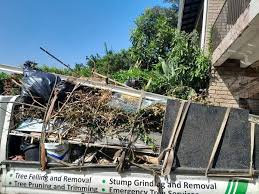 Best Hoarding Cleanup  in Bellevue, KY