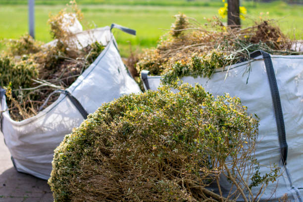 Best Appliance Removal  in Bellevue, KY